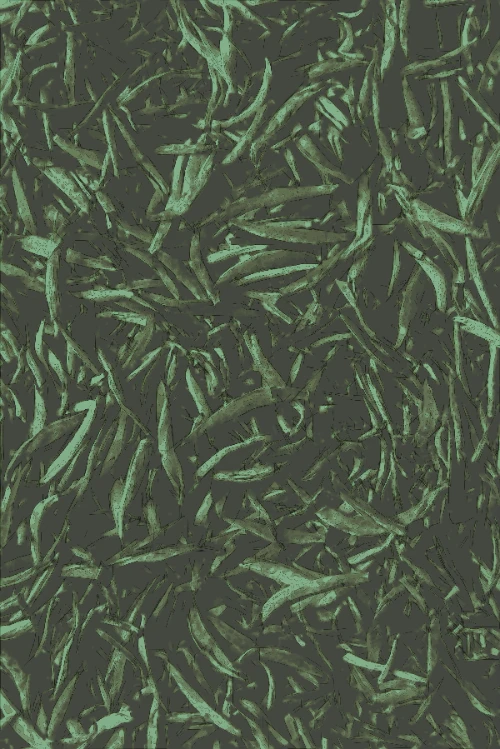 Cafe Mocca illustration style.