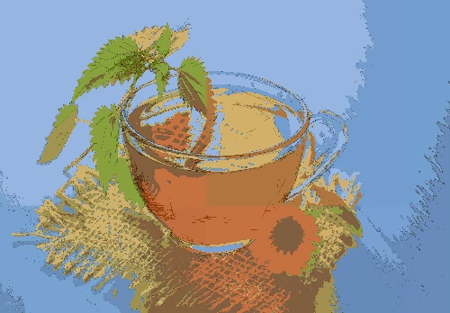 Cafe Mocca illustration style.